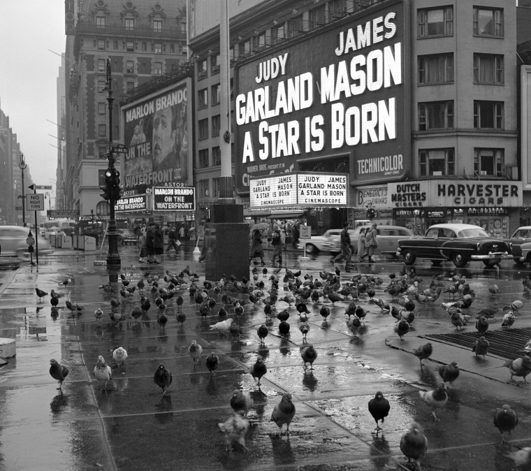 Pigeons gather in Times Square on a rainy day in 1954 in front of the marquee for \"A Star is Born\" starring Judy Garland..